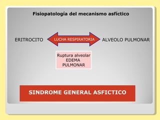 SINDROME GENERAL ASFICTICO Fisiopatología del mecanismo asfíctico ERITROCITO ALVEOLO PULMONAR LUCHA RESPIRATORIA Ruptura alveolar EDEMA  PULMONAR 