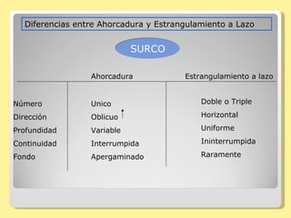 Diferencias entre Ahorcadura y Estrangulamiento a Lazo SURCO Número Dirección Profundidad Continuidad Fondo Ahorcadura Estrangulamiento a lazo Unico Oblicuo  Variable Interrumpida Apergaminado Doble o Triple Horizontal Uniforme Ininterrumpida Raramente 