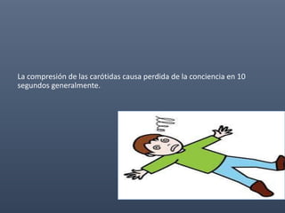 La compresión de las carótidas causa perdida de la conciencia en 10
segundos generalmente.
 