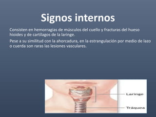 Signos internos
Consisten en hemorragias de músculos del cuello y fracturas del hueso
hioides y de cartílagos de la laringe.
Pese a su similitud con la ahorcadura, en la estrangulación por medio de lazo
o cuerda son raras las lesiones vasculares.
 