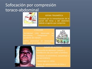 Sofocación por compresión
toraco-abdominal
 