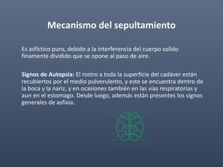 Mecanismo del sepultamiento
Es asfíctico puro, debido a la interferencia del cuerpo solido
finamente dividido que se opone al paso de aire.
Signos de Autopsia: El rostro a toda la superficie del cadáver están
recubiertos por el medio pulverulento, y este se encuentra dentro de
la boca y la nariz, y en ocasiones también en las vías respiratorias y
aun en el estomago. Desde luego, además están presentes los signos
generales de asfixia.
 