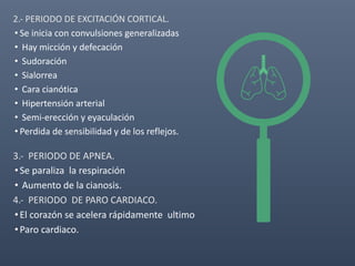 2.- PERIODO DE EXCITACIÓN CORTICAL.
• Se inicia con convulsiones generalizadas
• Hay micción y defecación
• Sudoración
• Sialorrea
• Cara cianótica
• Hipertensión arterial
• Semi-erección y eyaculación
• Perdida de sensibilidad y de los reflejos.
3.- PERIODO DE APNEA.
•Se paraliza la respiración
• Aumento de la cianosis.
4.- PERIODO DE PARO CARDIACO.
•El corazón se acelera rápidamente ultimo
•Paro cardiaco.
 