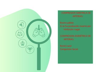 COMPRESION SIMETRICA DE
ARTERIAS.
Rostro pálido
Si se ha producido muerte por
inhibición vagal.
COMPRESION ASIMÉTRICA DE
ARTERIAS.
Rostro azul
Congestión facial.
 