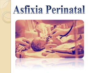 Asfixia y reanimacion perinatal de ana