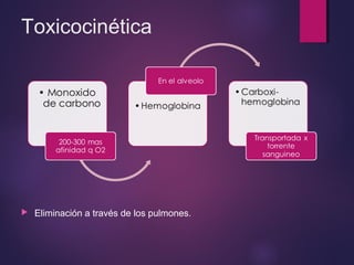 Toxicocinética 
 Eliminación a través de los pulmones. 
 