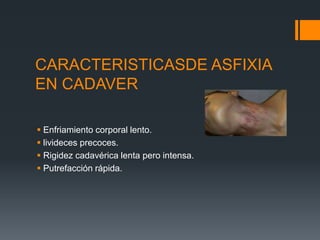 CARACTERISTICASDE ASFIXIA
EN CADAVER
 Enfriamiento corporal lento.
 livideces precoces.
 Rigidez cadavérica lenta pero intensa.
 Putrefacción rápida.
 
