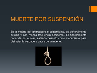 MUERTE POR SUSPENSIÓN
Es la muerte por ahorcadura o colgamiento, es generalmente
suicida y con menos frecuencia accidental. El ahorcamiento
homicida es inusual, estando descrito como mecanismo para
disimular la verdadera causa de la muerte.
 