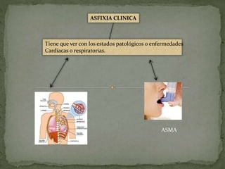 ASFIXIA CLINICA
Tiene que ver con los estados patológicos o enfermedades
Cardiacas o respiratorias.
ASMA
 