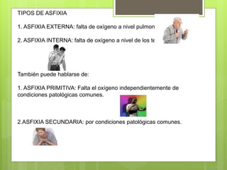TIPOS DE ASFIXIA
1. ASFIXIA EXTERNA: falta de oxígeno a nivel pulmonar.
2. ASFIXIA INTERNA: falta de oxígeno a nivel de los tejidos.
También puede hablarse de:
1. ASFIXIA PRIMITIVA: Falta el oxígeno independientemente de
condiciones patológicas comunes.
2.ASFIXIA SECUNDARIA: por condiciones patológicas comunes.
 