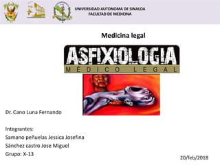 Dr. Cano Luna Fernando
Integrantes:
Samano peñuelas Jessica Josefina
Sánchez castro Jose Miguel
Grupo: X-13
20/feb/2018
UNIVERSIDAD AUTONOMA DE SINALOA
FACULTAD DE MEDICINA
Medicina legal
 