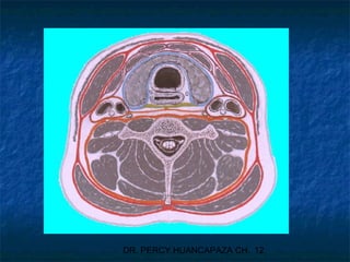 DR. PERCY HUANCAPAZA CH. 12
 