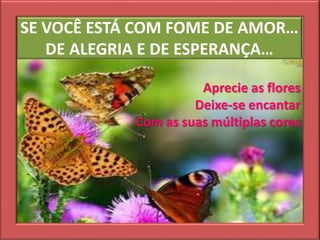 SE VOCÊ ESTÁ COM FOME DE AMOR…
DE ALEGRIA E DE ESPERANÇA…
Aprecie as flores
Deixe-se encantar
Com as suas múltiplas cores
 