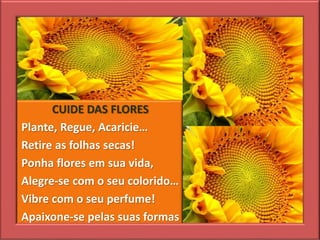 CUIDE DAS FLORES
Plante, Regue, Acaricie…
Retire as folhas secas!
Ponha flores em sua vida,
Alegre-se com o seu colorido…
Vibre com o seu perfume!
Apaixone-se pelas suas formas
 