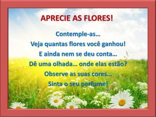 APRECIE AS FLORES!
Contemple-as…
Veja quantas flores você ganhou!
E ainda nem se deu conta…
Dê uma olhada… onde elas estão?
Observe as suas cores…
Sinta o seu perfume!
 