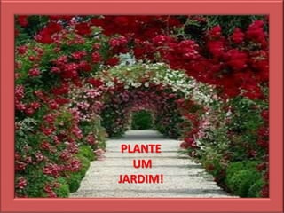 PLANTE
UM
JARDIM!
 