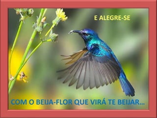 E ALEGRE-SE
COM O BEIJA-FLOR QUE VIRÁ TE BEIJAR…
 