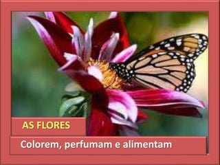 AS FLORES
Colorem, perfumam e alimentam
 