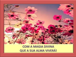 COM A MAGIA DIVINA
QUE A SUA ALMA VIVERÁ!
 