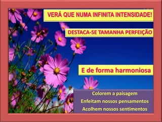 Colorem a paisagem
Enfeitam nossos pensamentos
Acolhem nossos sentimentos
VERÁ QUE NUMA INFINITA INTENSIDADE!
DESTACA-SE TAMANHA PERFEIÇÃO
E de forma harmoniosa
 