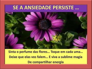 SE A ANSIEDADE PERSISTE …
Sinta o perfume das flores… Toque em cada uma…
Deixe que elas vos falem… E viva a sublime magia
De compartilhar energia
 