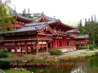 Exercite, pois, a virtude de rejeitar todo mal que vem de fora. Isso é viver como as flores.    