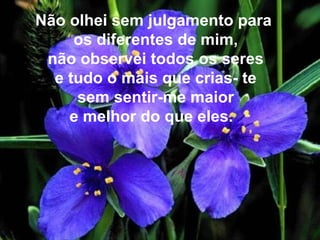 Não olhei sem julgamento para  os diferentes de mim, não observei todos os seres e tudo o mais que crias- te sem sentir-me maior e melhor do que eles.  
