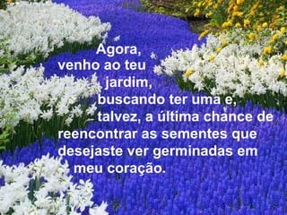 Agora, venho ao teu jardim, buscando ter uma e, talvez, a última chance de reencontrar as sementes que desejaste ver germinadas em meu coração. 