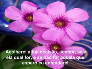 Acolherei a tua decisão, senhor, seja ela qual for, e se não for aquela que  espero eu entenderei. 