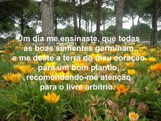 Um dia me ensinaste, que todas as boas sementes germinam e me deste a terra do meu coração para um bom plantio, recomendando-me atenção para o livre arbítrio.  