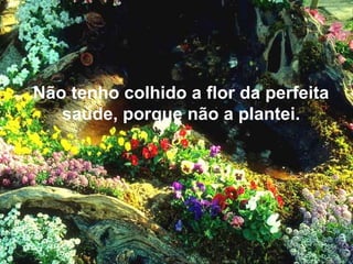 Não tenho colhido a flor da perfeita  saúde, porque não a plantei.  