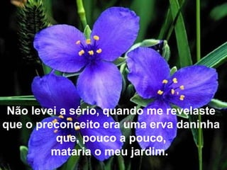 Não levei a sério, quando me revelaste que o preconceito era uma erva daninha que, pouco a pouco, mataria o meu jardim.  