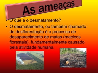 • O que é o desmatamento?
• O desmatamento, ou também chamado
  de desflorestação é o processo de
  desaparecimento de matas (maciços
  florestais), fundamentalmente causado
  pela atividade humana.
 