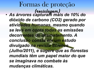 Formas de proteção
              (reciclagem)
• As árvores capturam mais de 10% do
  dióxido de carbono (CO2) gerado por
  atividades humanas, mesmo quando
  se leva em conta todas as emissões
  decorrentes do desmatamento. A
  conclusão consta em um estudo
  divulgado na revista Science
  (Julho/2011), e sugere que as florestas
  mundiais têm um papel maior do que
  se imaginava no combate às
  mudanças climáticas.
 
