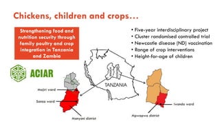 Animal-source foods and maternal and child nutrition in resource-limiting settings