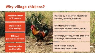 Animal-source foods and maternal and child nutrition in resource-limiting settings