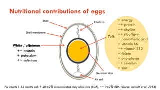 Animal-source foods and maternal and child nutrition in resource-limiting settings
