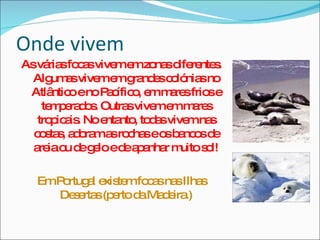 Onde vivem As várias focas vivem em zonas diferentes. Algumas vivem em grandes colónias no Atlântico e no Pacífico, em mares frios e temperados. Outras vivem em mares tropicais. No entanto, todas vivem nas costas, adoram as rochas e os bancos de areia ou de gelo e de apanhar muito sol! Em Portugal existem focas nas Ilhas Desertas (perto da Madeira.)‏ 