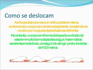 Como se deslocam As focas deslocam-se com dificuldade em terra, contorcendo o corpo de maneira desajeitada, arrastando-se no solo com a ajuda das barbatanas da frente. No entanto, o corpo em forma de torpedo e o facto de estarem muito bem adaptadas à água  fazem delas excelentes nadadoras, conseguindo atingir profundidades de 100 metros. 