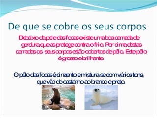 De que se cobre os seus corpos Debaixo da pele das focas existe uma boa camada de gordura que as protege contra o frio. Por cima destas camadas os  seus corpos estão cobertos de pêlo. Este pêlo é grosso e brilhante. O pêlo das focas é cinzento e mistura-se com vários tons, que vão do castanho ao branco e preto. 