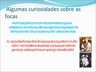   Algumas curiosidades sobre as focas  As focas já foram animais terrestres que se adaptaram à vida aquática e agora só regressam à terra para dar à luz e para cuidar das suas crias. A caça das focas devido à sua pele (que tem muito valor na indústria de peles) e à sua camada de gordura, está a pô-las em perigo de extinção!  