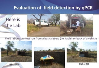 Evaluation of field detection by qPCR
Here is
the Lab
Field laboratory test run from a basic set-up (i.e. table) or back of a vehicle

BSL-2 lab

BSL-3 lab

 