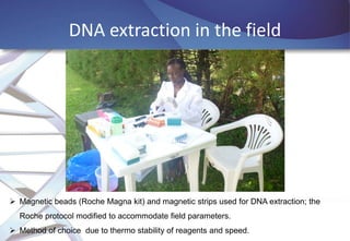 African Swine Fever (ASF) virus genomics and diagnostics