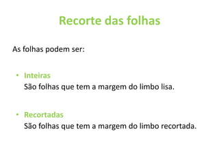 Aquáticas Recorte das folhas As folhas podem ser:InteirasSão folhas que tem a margem do limbo lisa.Recortadas 	São folhas que tem a margem do limbo recortada.