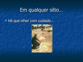 Em qualquer sítio… Há que olhar com cuidado… 