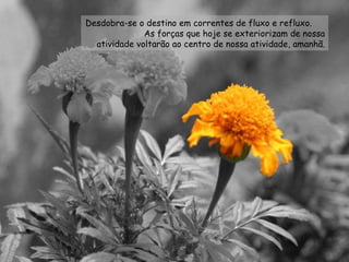 Desdobra-se o destino em correntes de fluxo e refluxo.  As forças que hoje se exteriorizam de nossa atividade voltarão ao centro de nossa atividade, amanhã. 