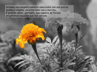 Achamo-nos magneticamente associados uns aos outros. Ações e reações caracterizam-nos a marcha. É preciso saber, portanto, que espécie de forças projetamos naqueles que nos cercam. 