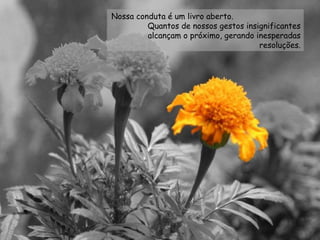 Nossa conduta é um livro aberto.  Quantos de nossos gestos insignificantes alcançam o próximo, gerando inesperadas resoluções. 