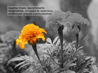 Quantas frases, aparentemente inexpressivas, arrojadas de nossa boca estabelecem grandes acontecimentos!... 