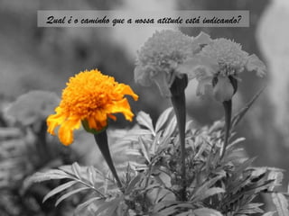 Qual é o caminho que a nossa atitude está indicando? 